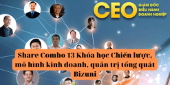 Share Combo 13 Khóa học Chiến lược, mô hình kinh doanh, quản trị tổng quát Bizuni
