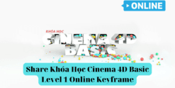 Share Khóa Học Cinema 4D Basic Level 1 Online Keyframe