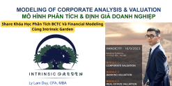 Share Khóa Học Phân Tích BCTC Và Financial Modeling Cùng Intrinsic Garden