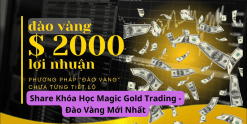 Share Khóa Học Magic Gold Trading - Đào Vàng Mới Nhất